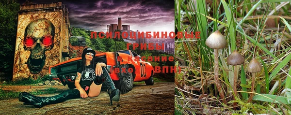 MESCALINE Верхний Тагил