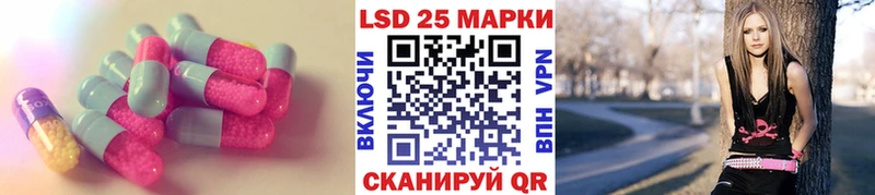 KRAKEN ONION  цена   Вологда  LSD-25 экстази кислота 