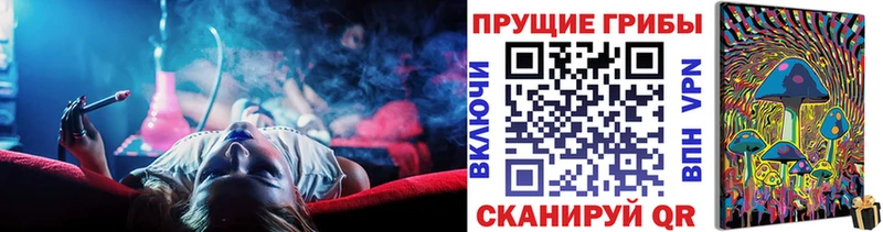 Псилоцибиновые грибы Psilocybine cubensis  blacksprut зеркало  Вологда 
